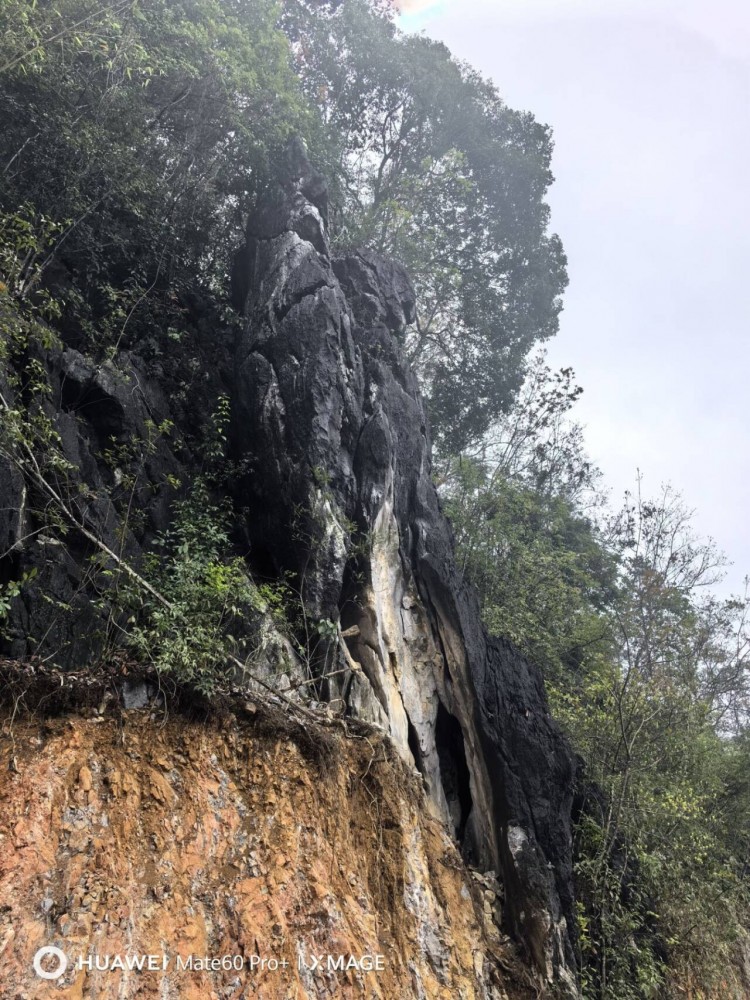 $IC9V``VF4_6BMS4SHXG`PF_tmb