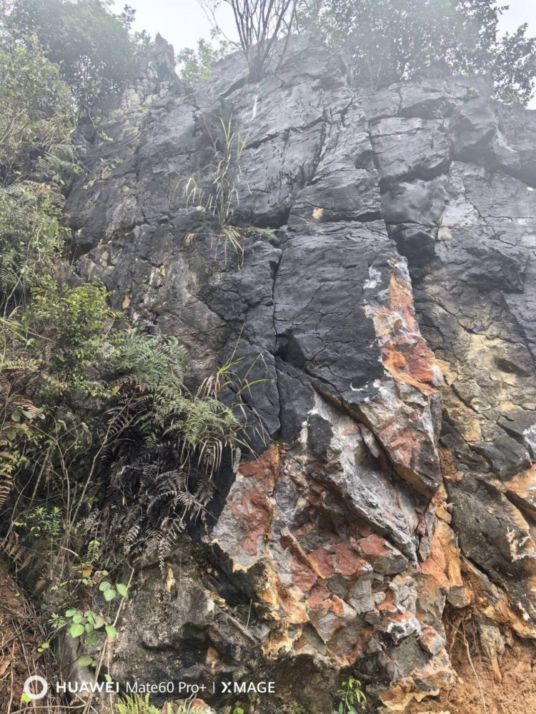 NPJ39LWY)O[PKSTM%8B2GFK_tmb