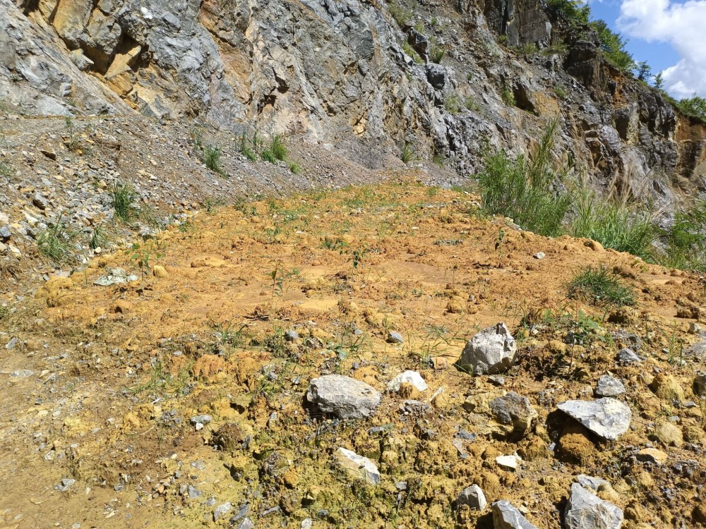 QQ圖片20220712151738