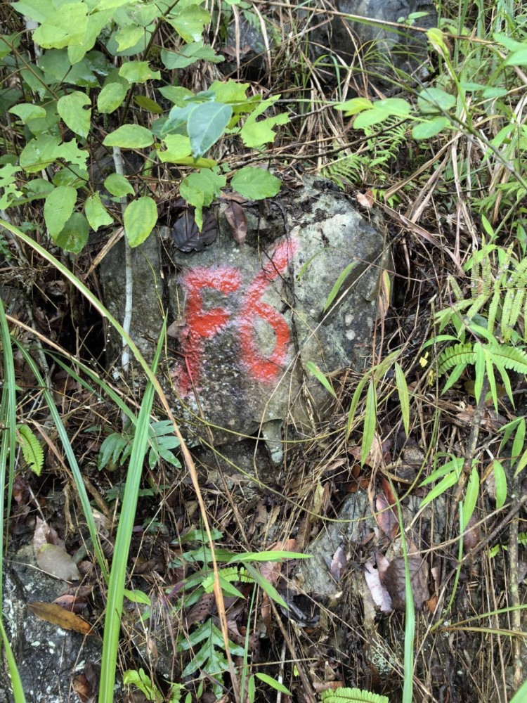 {)6ATH3W6IX{P$W0DQK6_tmb