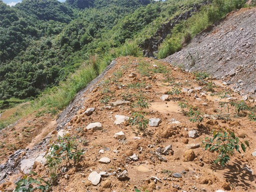 QQ圖片20220712151723