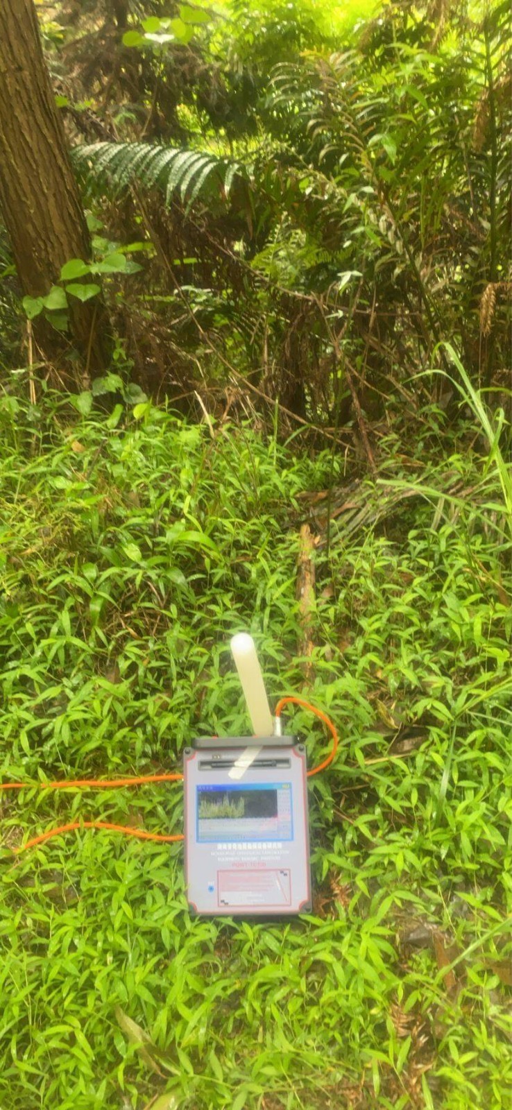 賀州黃杆沖金礦物(wù)探調查