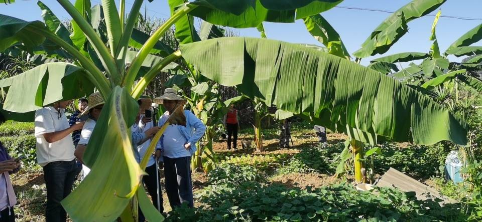 2022.10.10崇左市(shì)江洲區濑湍污水(shuǐ)管道升級改造地質勘察工(gōng)程