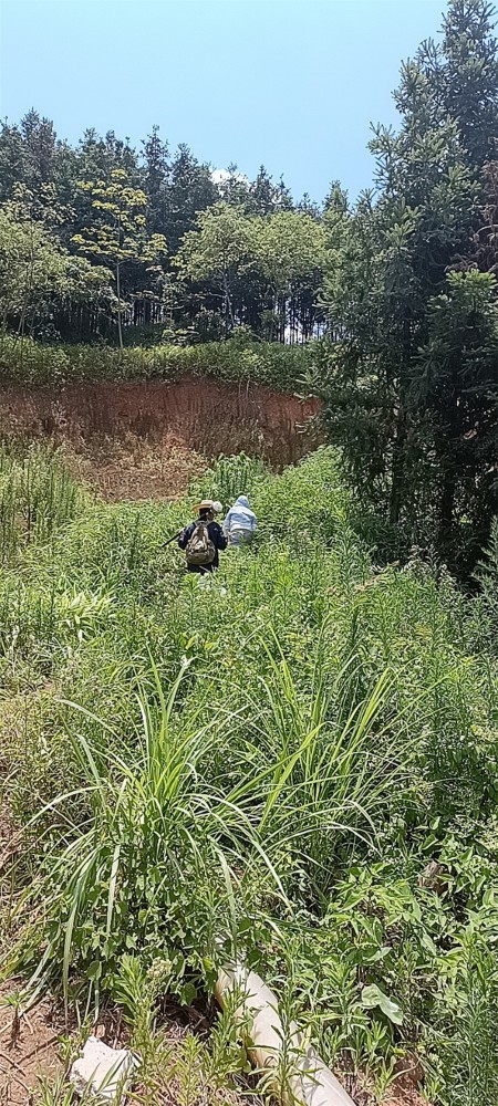 QQ圖片20220812171358