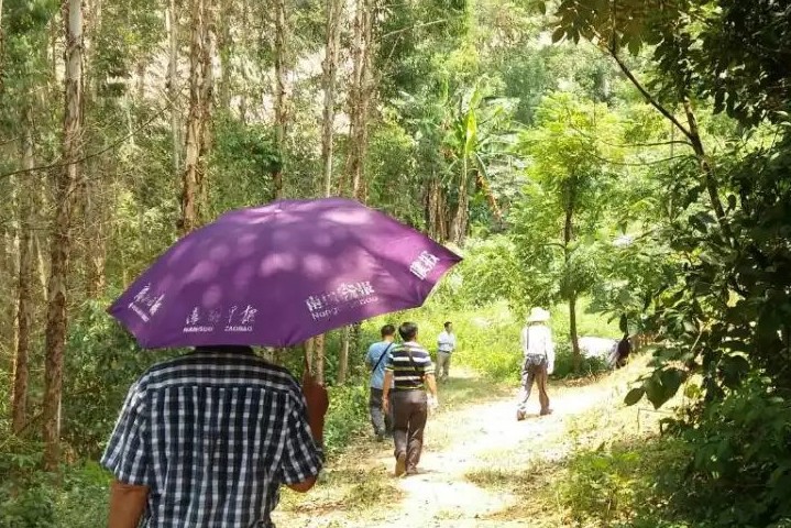 田東縣林逢鎮福蘭村(cūn)水(shuǐ)庫