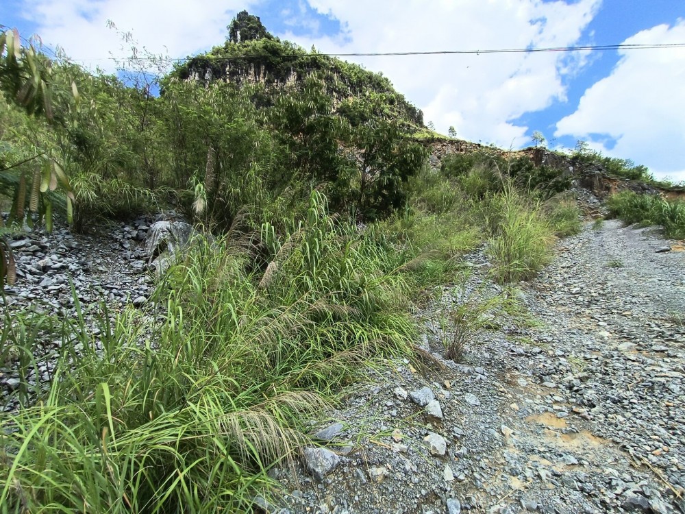 QQ圖片20220712151806