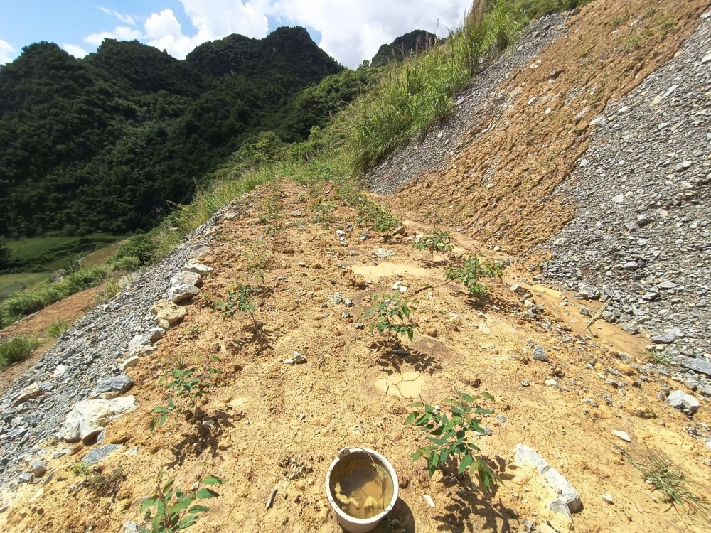 QQ圖片20220712151744