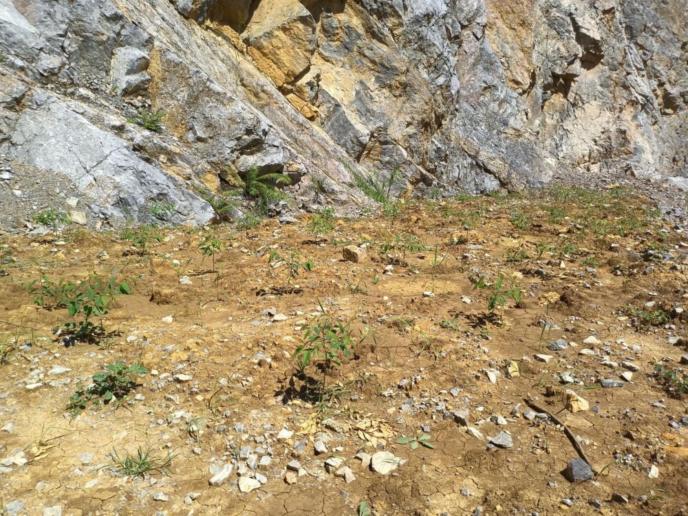 QQ圖片20220712151734