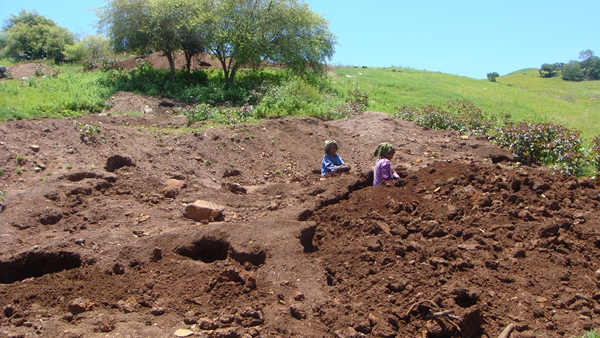 印尼花布港金礦勘查