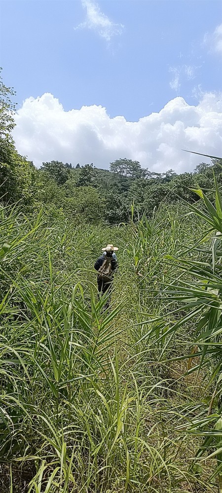 QQ圖片20220812171405