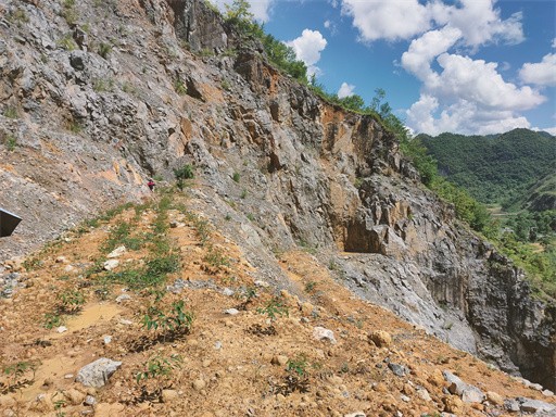 QQ圖片20220712151727