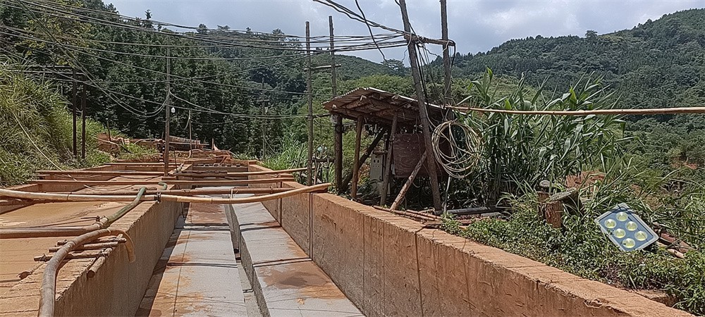 QQ圖片20220812171356